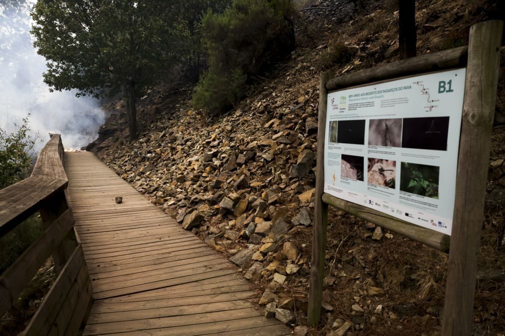 Incêndio em Arouca tem 