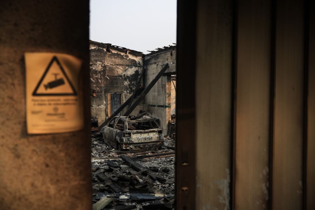 Concelho de Penela em Coimbra em perigo máximo de incêndio