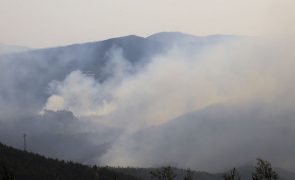 Incêndios de Sever do Vouga em resolução