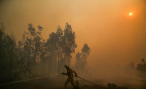 Nove incêndios ativos com fogos de Castro Daire em destaque