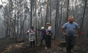 Fogos de Sever do Vouga em rescaldo mas 