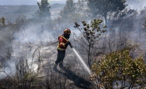 Fogo em Mangualde está 