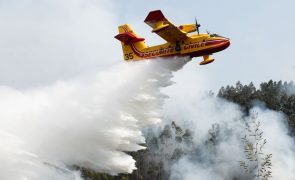 Fogos preocupam Norte e Centro com meios espanhóis em Castro Daire