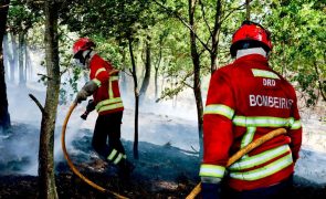 Nove fogos significativos em curso combatidos pelas 18:00 por cerca de 2.000 operacionais