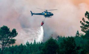 Incêndios em Castro Daire são os que mais meios mobilizam