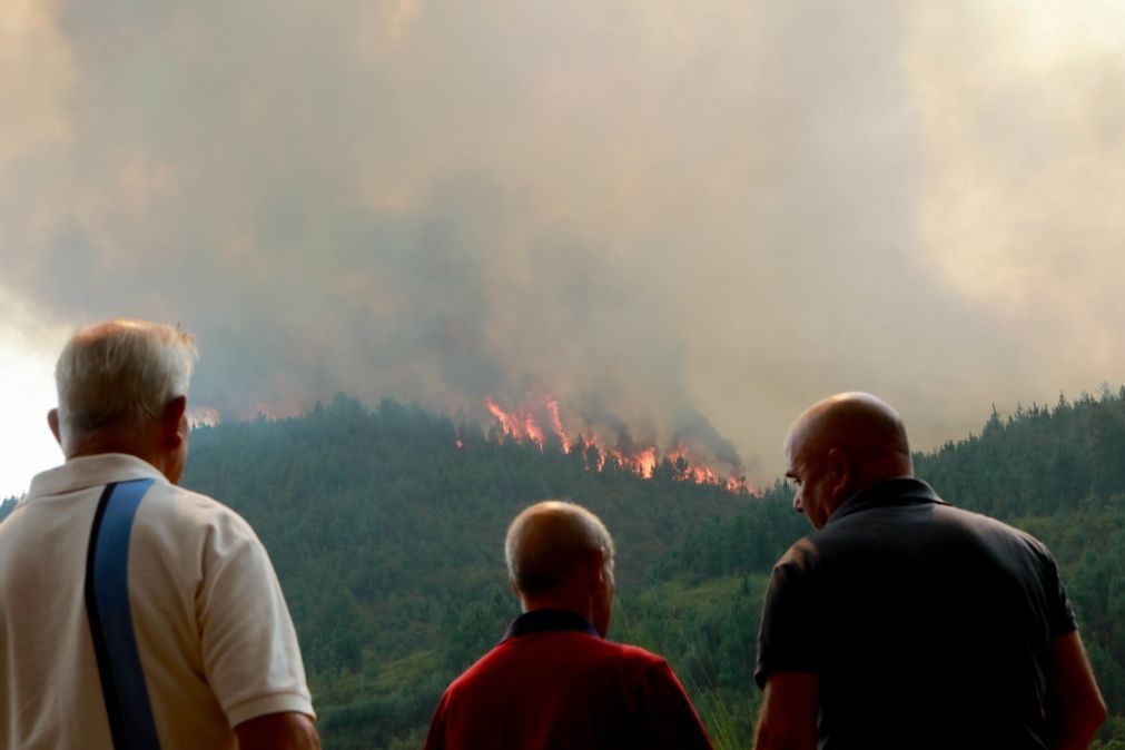 Fogos em Castro Daire os únicos em curso à 09:15 em Portugal continental