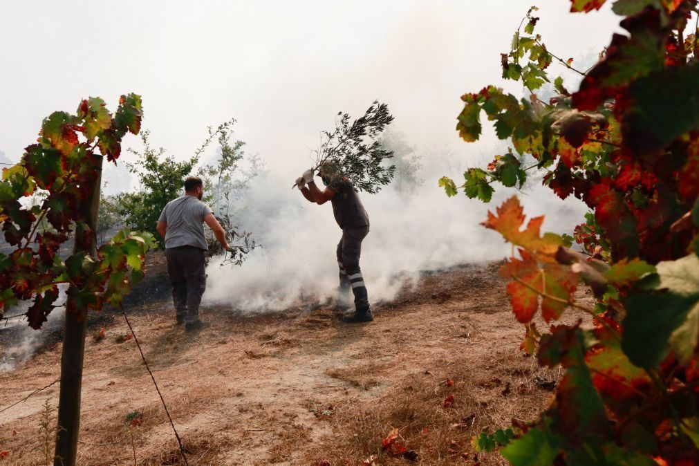 Chamas destruíram oito mil hectares em Penalva do Castelo