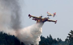 Proteção Civil contabiliza cinco mortos e 17 feridos graves provocados pelos incêndios