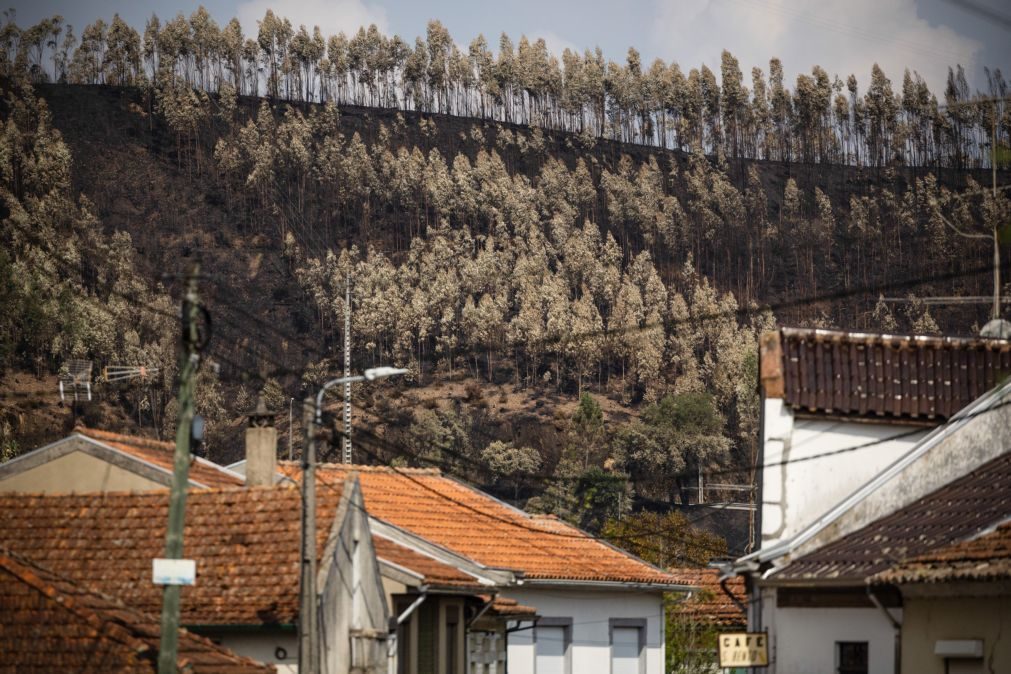 Prisão preventiva para homem suspeito de atear incêndio em Albergaria