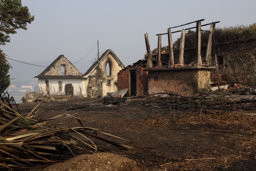 Protestos contra incêndios marcados para hoje em 12 localidades