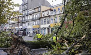 Proteção Civil avisa população para risco de cheias, derrocadas e queda de árvores