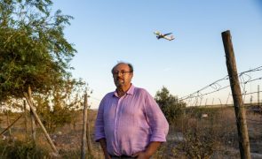 Estes lisboetas não querem ir ver os aviões