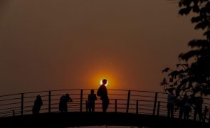 Incêndios afectaram diretamente 18,9 milhões de brasileiros em nove meses