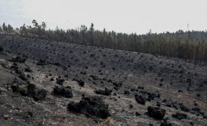 Proteção Civil alerta para riscos de inundações em zonas afetadas por incêndios