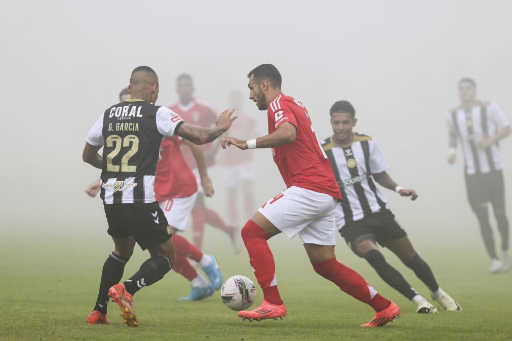 Jogo entre Nacional e Benfica adiado devido ao forte nevoeiro