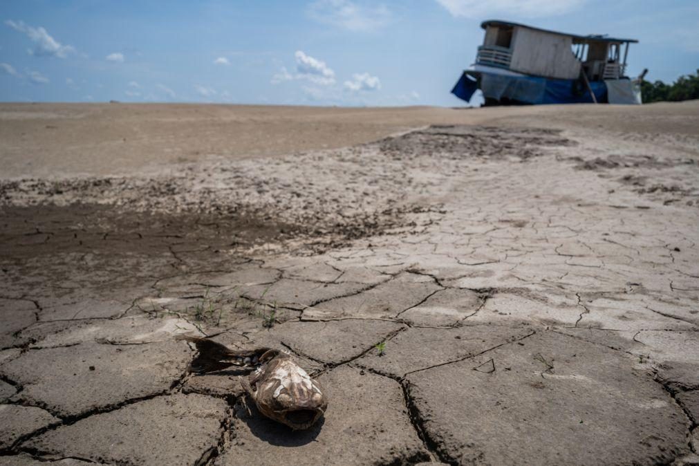 Pescadores afetados pela seca recorde vão receber subsídios no Brasil