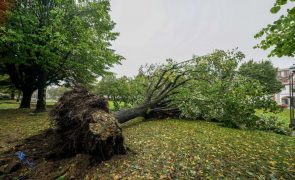 Número significativo de ocorrências em Vila Real num curto período devido a mau tempo