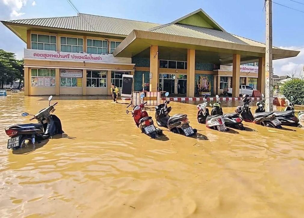 Próximos cinco anos determinarão futuro do planeta