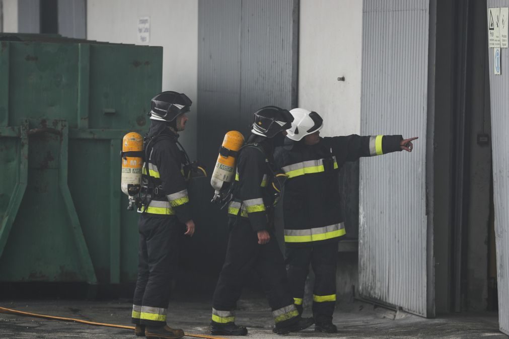 Incêndio em fábrica de paletes em Leiria combatido por 46 homens de corporações da região