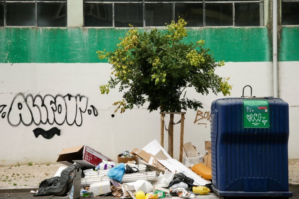 Problemas na gestão do lixo em Lisboa continuam a ser 