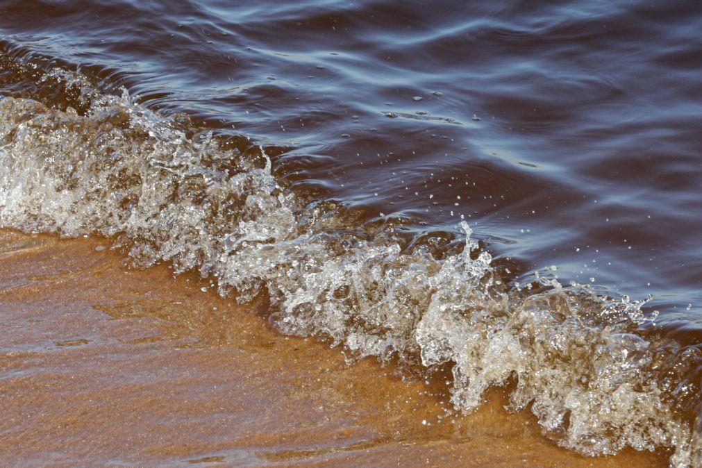 Duas praias de Vila do Bispo reabertas a banhos após derramamento de crude