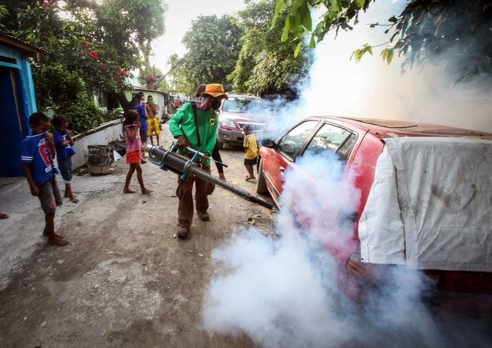 ONG quer replicar em outros países sucesso no combate à dengue em Timor-Leste