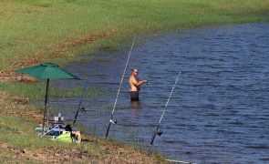 Pescadores lúdicos vão ter de registar capturas em aplicação a partir de 2026