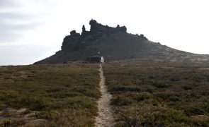 Madeira quer 