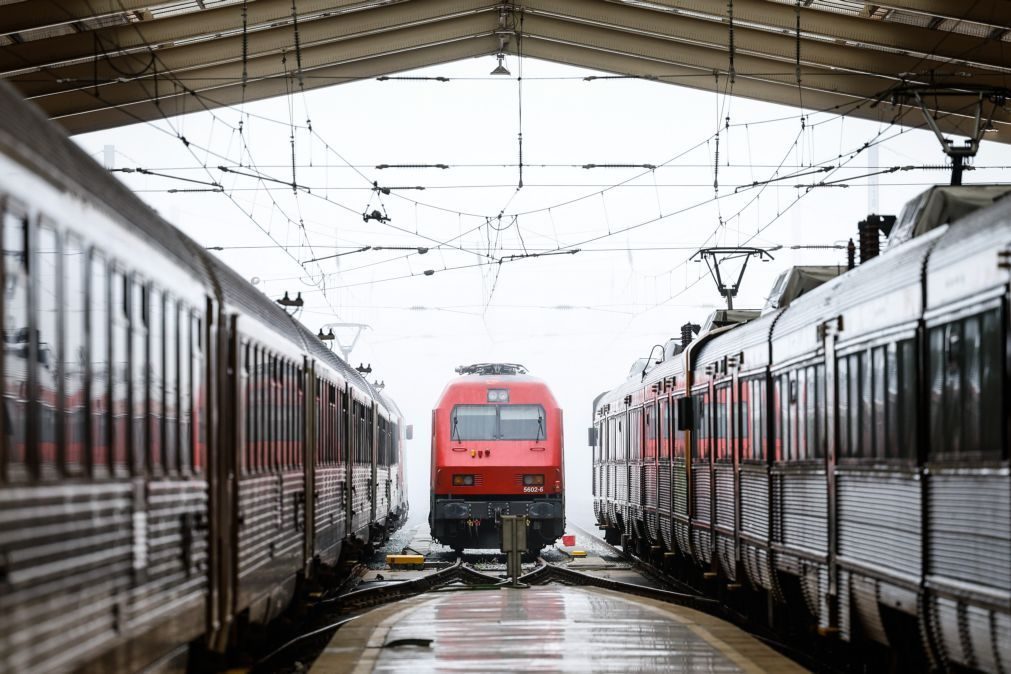 Greve na CP suprimiu 113 comboios nos urbanos de Lisboa até às 19:00