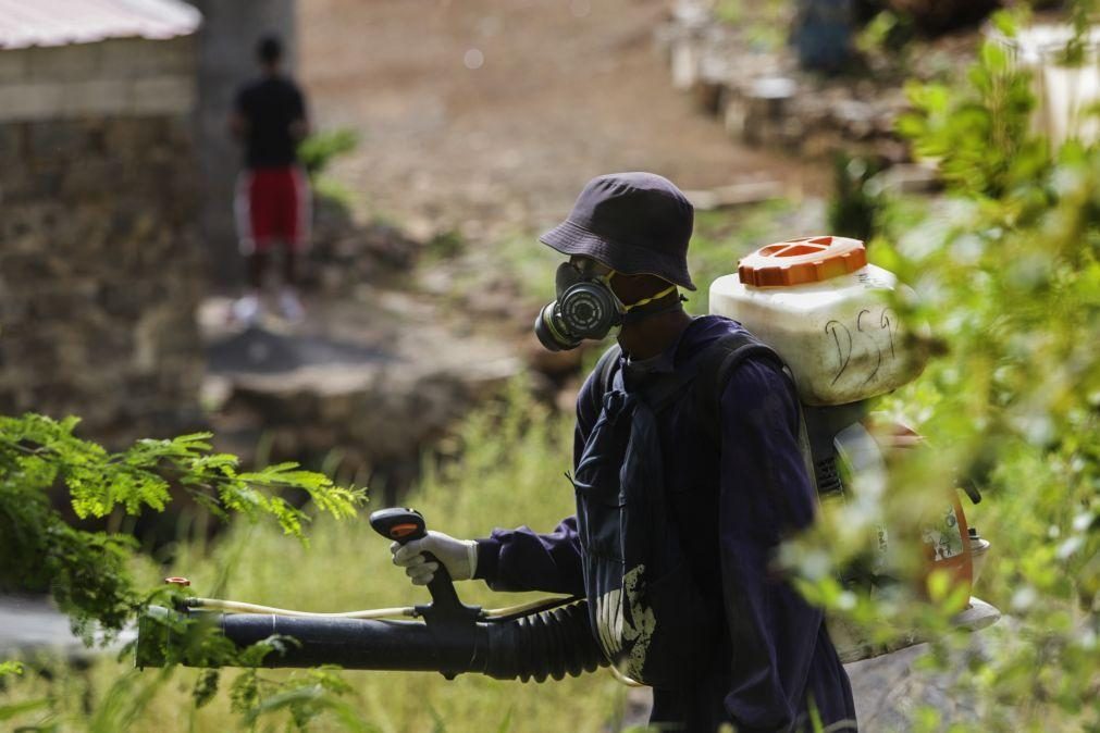 Um dia na brigada anti-mosquito de Cabo Verde, retrato de uma luta global