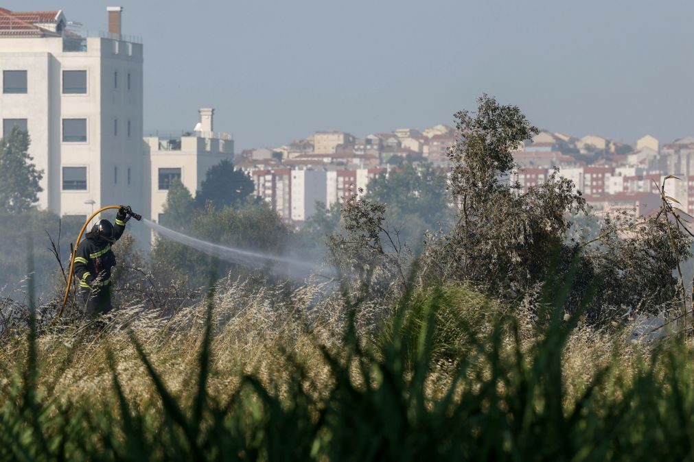 Caixotes de lixo e viaturas incendiadas em vários bairros de Lisboa