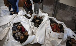 Quase mil mortos em 23 dias no norte da Faixa de Gaza