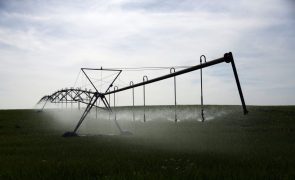 Agricultores contra cortes de água do Alqueva para quem exceder limites de rega