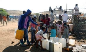 Cerca de 26 milhões de pessoas com fome aguda no Sudão