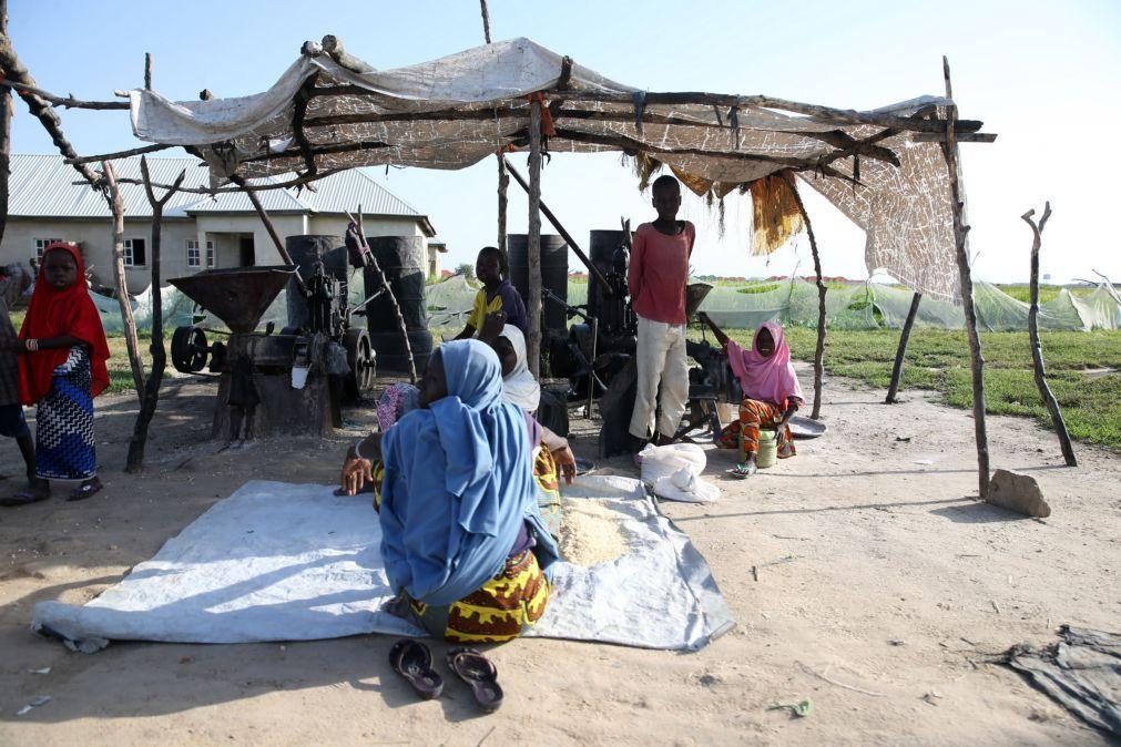 ONG prevê 5,4 milhões de crianças nigerianas a sofrer de desnutrição aguda até abril