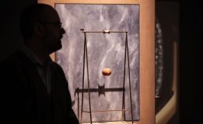 Serralves acolhe maior exposição monográfica de Francisco Tropa