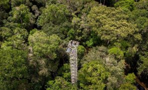 COP29: Brasil quer mais dinheiro para fundo climático sem aumentar número de países doadores