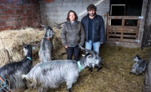 Lesados dos fogos na região de Viseu com apoio de amigos e voluntários esperam ajuda do Estado