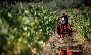 Hotelaria, agricultura e construção pedem regresso do fluxo de mão-de-obra estrangeira