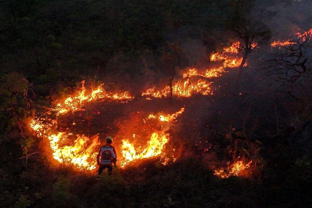 Incêndios no Brasil devastaram 27,6 milhões de hectares de janeiro a outubro