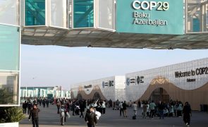 ONG pedem a países em desenvolvimento para abandonar negociações na COP29