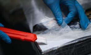 PJ desmantela grupo criminoso e maior laboratório de droga da Europa