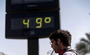 Aumento de 5,4 graus na temperatura global pode provocar extinção de quase um terço das espécies