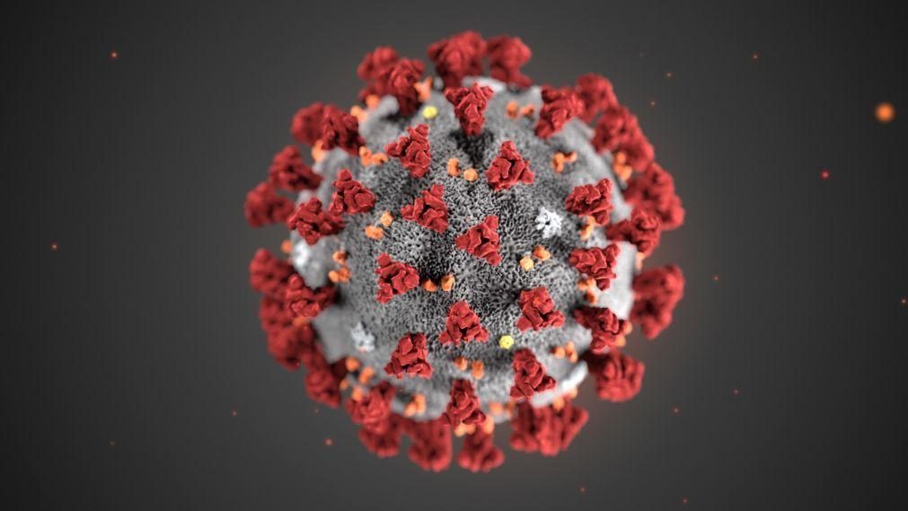 Covid-19: Investigadores admitem que SARS-CoV-2 circulou em Portugal antes de março de 2020