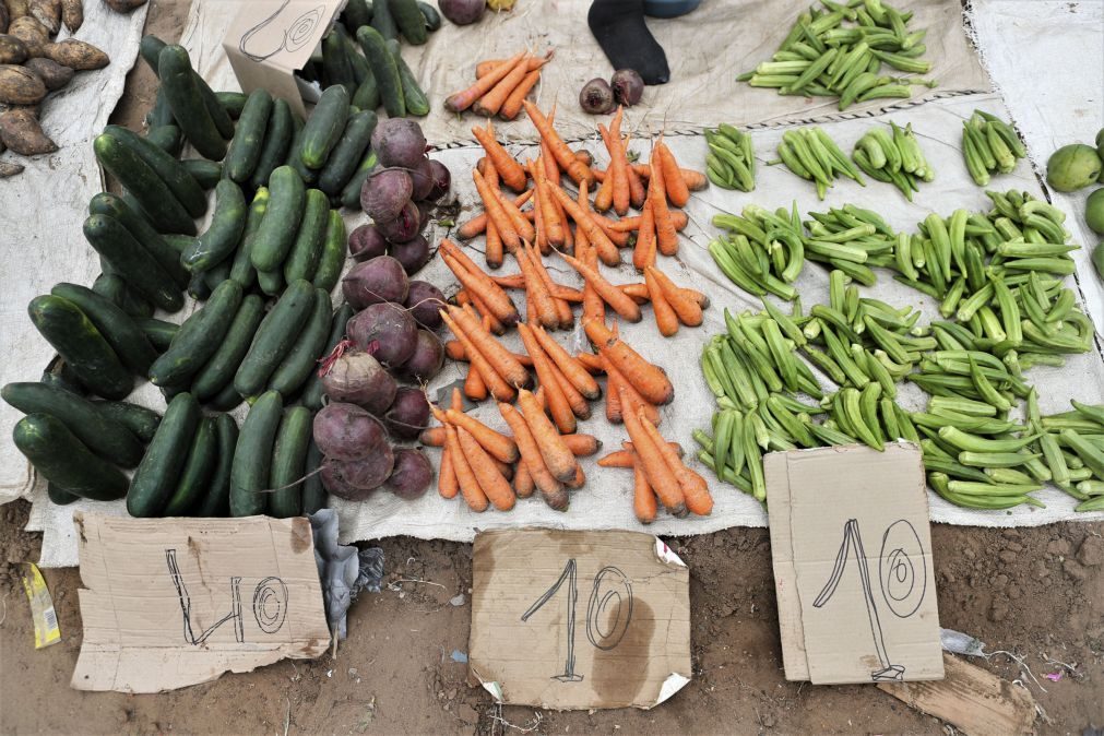 Exportações moçambicanas de legumes e hortícolas disparam 71% em seis meses