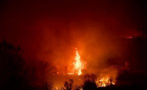 Incêndio ameaça casas e há alerta de retirada em Malibu