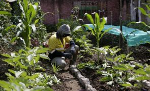 Agricultores brasileiros enaltecem mecanismo anti-protecionista no acordo Mercosul-UE