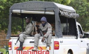 Suposto terrorista abatido em aldeia de Cabo Delgado