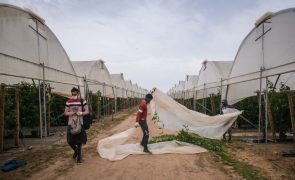 Quase dois terços dos portugueses querem menos imigrantes do subcontinente indiano