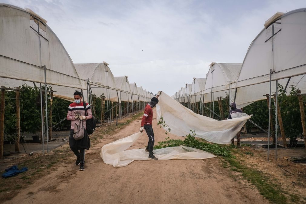 Quase dois terços dos portugueses querem menos imigrantes do subcontinente indiano